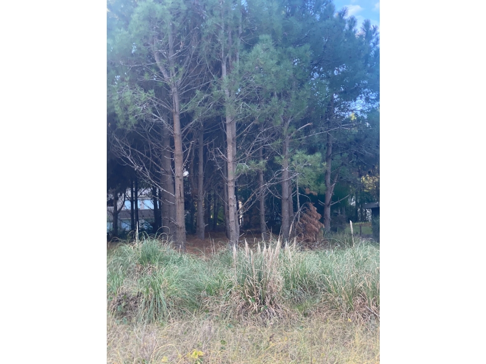 Lote en Venta en Costa Esmeralda - Sector Residencial I - 1