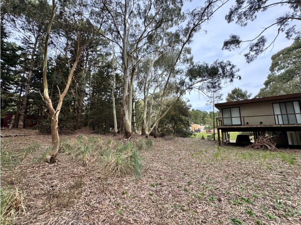 Lote 35 Venta Costa Esmeralda Sector Bosque 1300 m2 Barrio Cerrado - 1