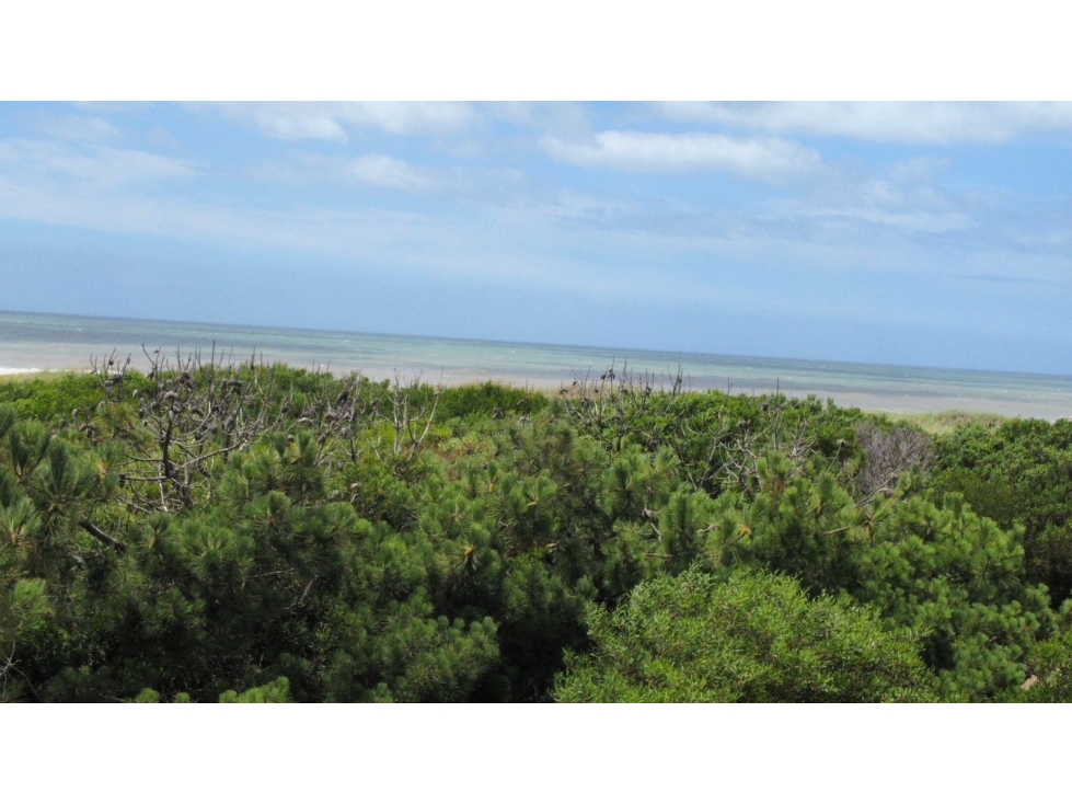 LOTE EN VENTA COSTA ESMERALDA MARITIMO II 82 - 2