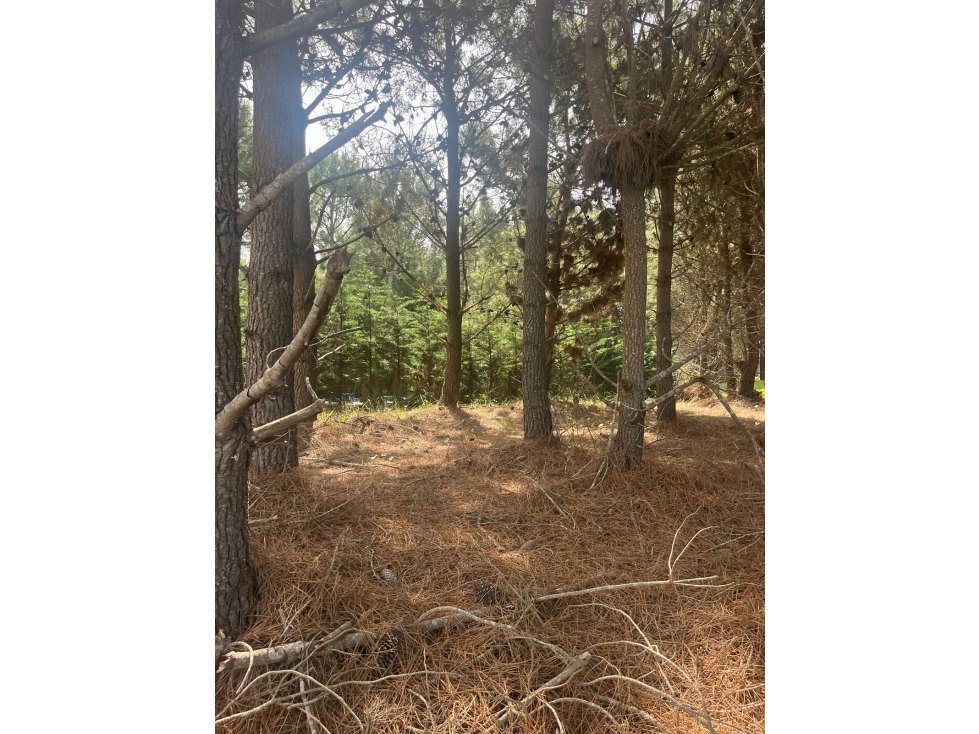 LOTE EN VENTA - RESIDENCIAL I 369 - COSTA ESMERALDA - 3