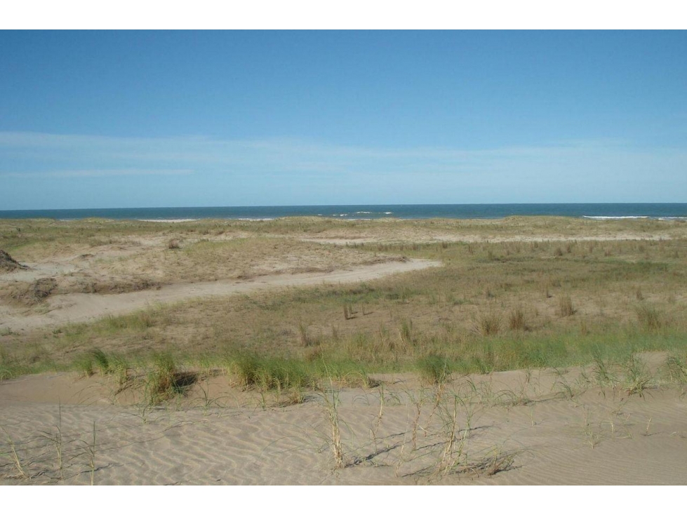 Lote Venta Ruta 11 Frente Al Mar 106 Hectareas Playa 297 Metros — foto 4