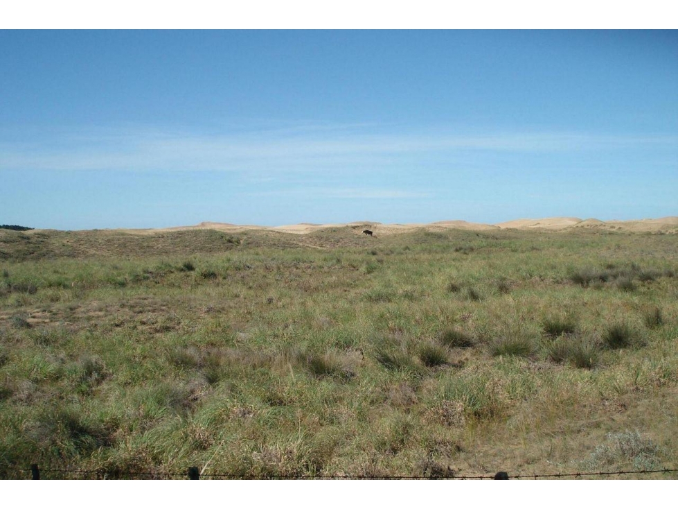 Lote Venta Ruta 11 Frente Al Mar 106 Hectareas Playa 297 Metros — foto 6