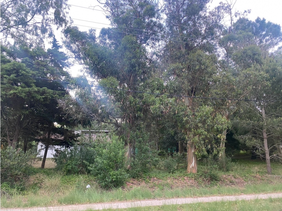 Lote Pinzón a metros de CARILO! Hermosa Esquina! — foto 2