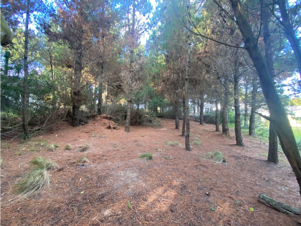 Terreno en Venta en Costa Esmeralda - Barrio Cerrado Residencial I - 2