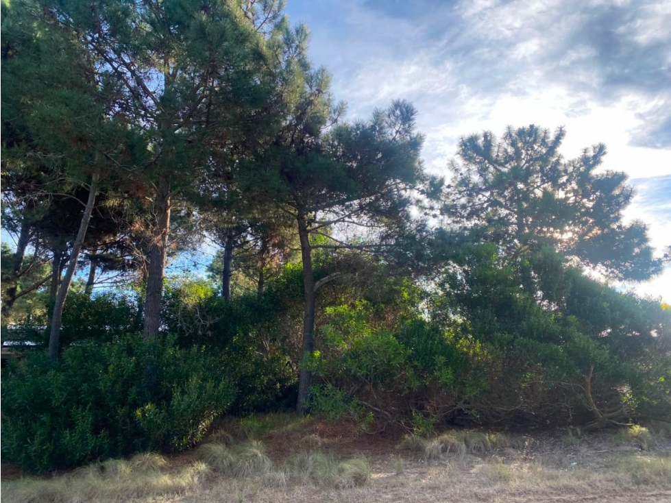 Lote Senderos IV 288 Costa Esmeralda | Oportunidad USD 45.000 - 2