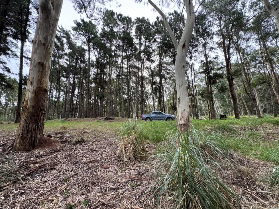 Lote 35 Venta Costa Esmeralda Sector Bosque 1300 m2 Barrio Cerrado - 2