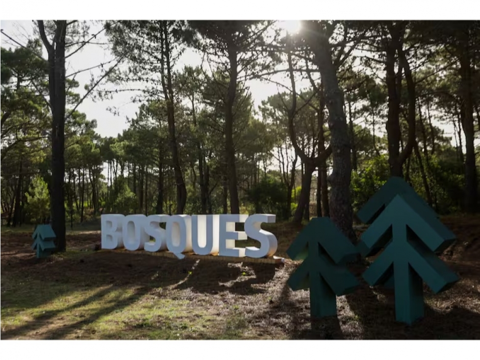 Lote | Barrio Bosques de Pinamar, Sector Acacias | Apto Construcción - 6