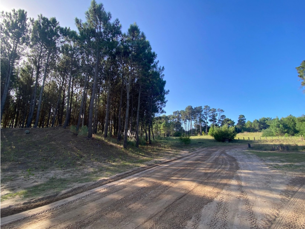 Lote en Venta en Pinamar - Barrio Cerrado Pioneros Lote 5 — foto 4