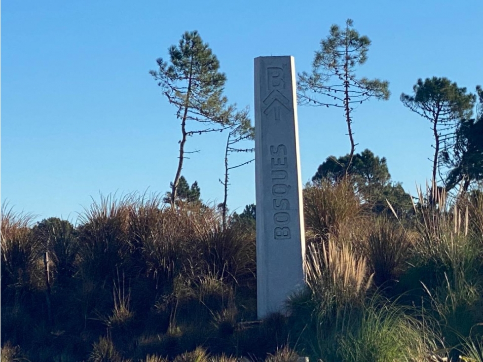 Lote | Barrio Bosques de Pinamar, Sector Acacias | Apto Construcción - 4