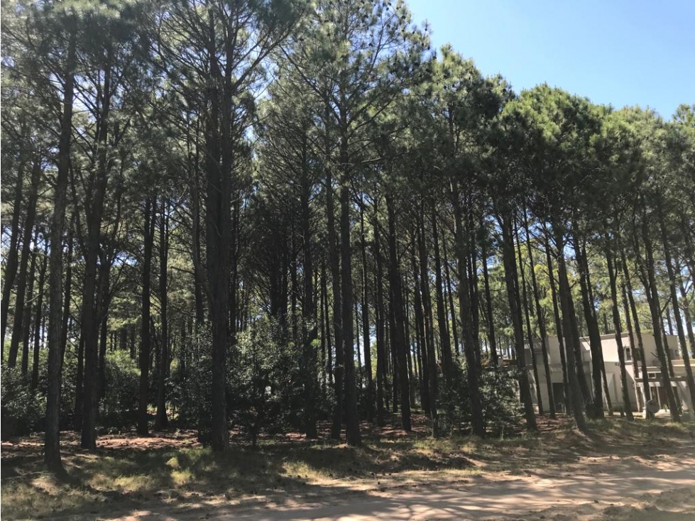 LOTE EN VENTA PINAMAR FRONTERA - 2