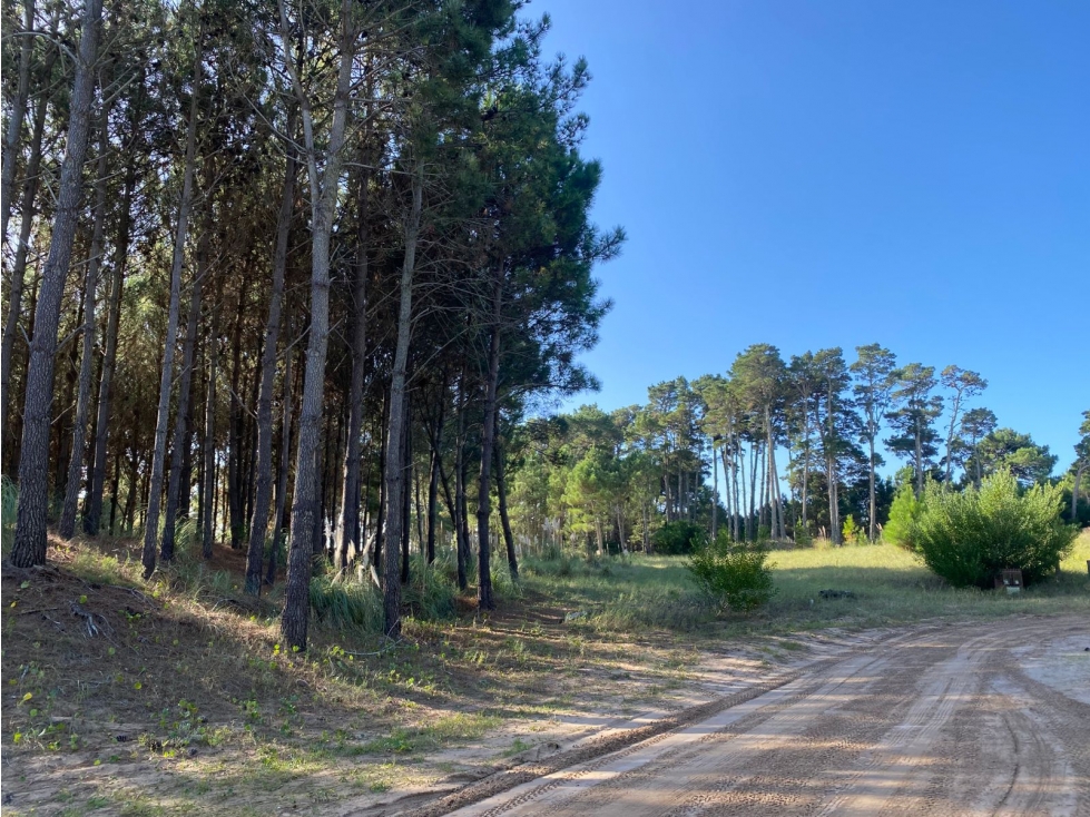 Lote en Venta en Pinamar - Barrio Cerrado Pioneros Lote 5 — foto 5