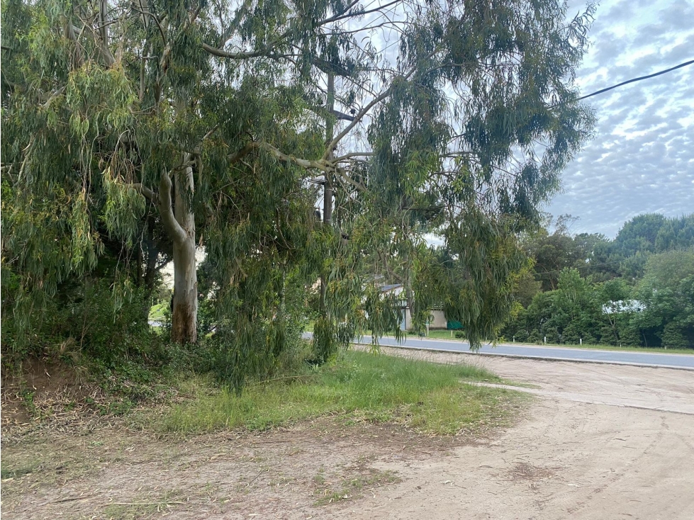 Lote Pinzón a metros de CARILO! Hermosa Esquina! — foto 5
