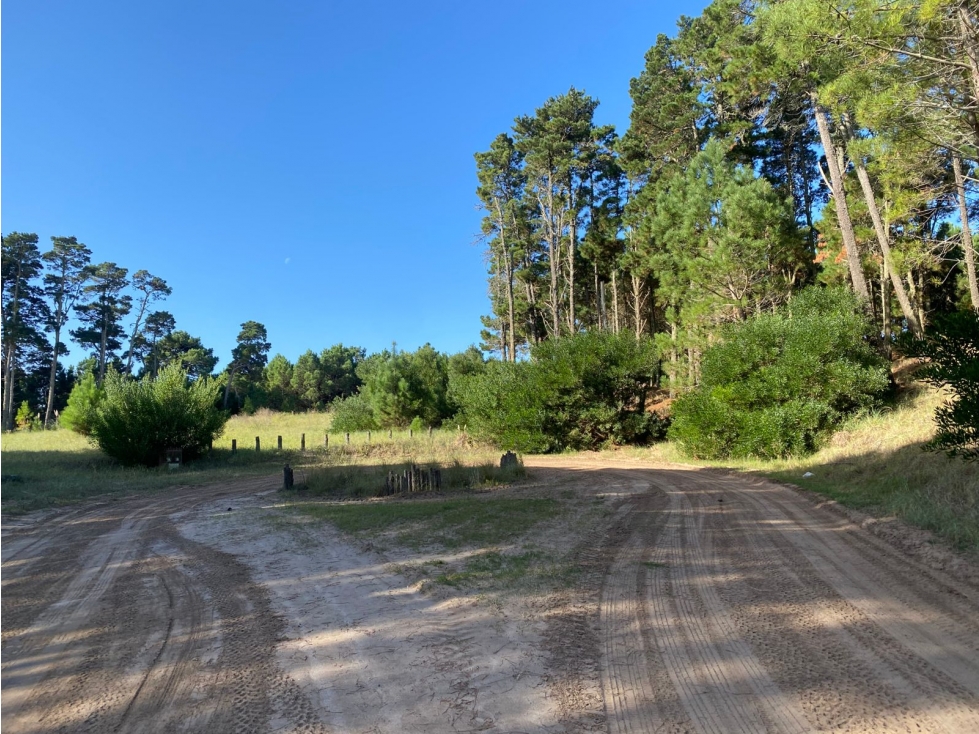 Lote en Venta en Pinamar - Barrio Cerrado Pioneros Lote 5