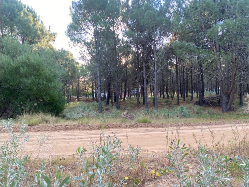 Lote en Barrio Cerrado Costa Esmeralda - Residencial I - 5