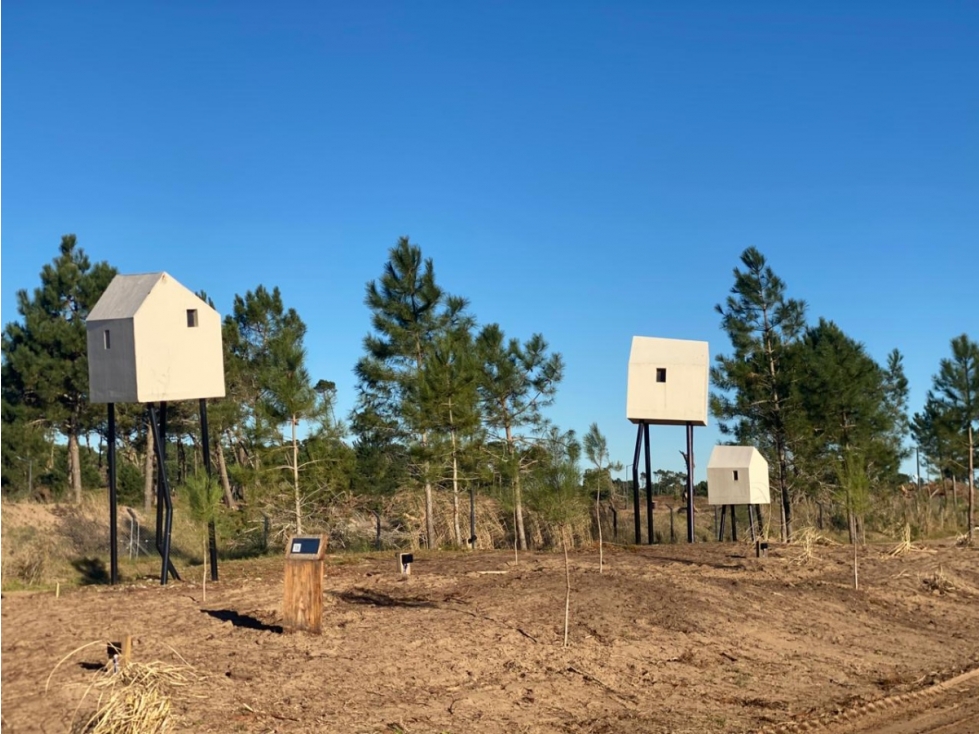 Lote | Barrio Bosques de Pinamar, Sector Acacias | Apto Construcción - 5