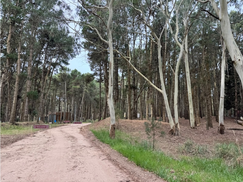 Lote 35 Venta Costa Esmeralda Sector Bosque 1300 m2 Barrio Cerrado - 5