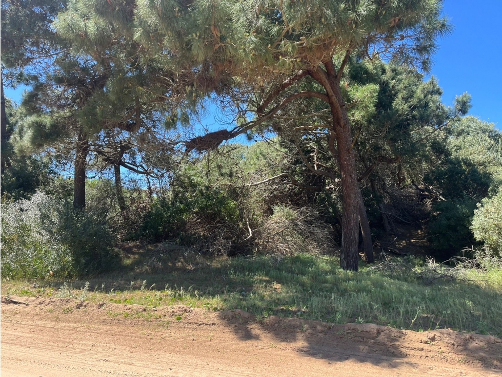 LOTE EN VENTA VILLA ROBLES Lote 115 - 6