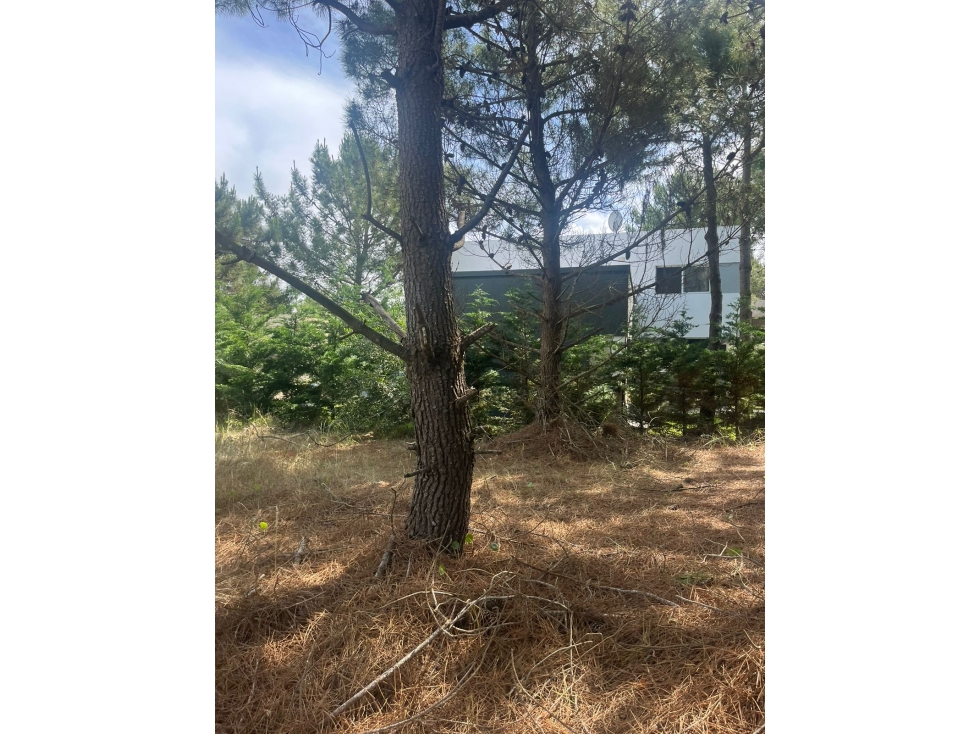 LOTE EN VENTA - RESIDENCIAL I 369 - COSTA ESMERALDA - 2