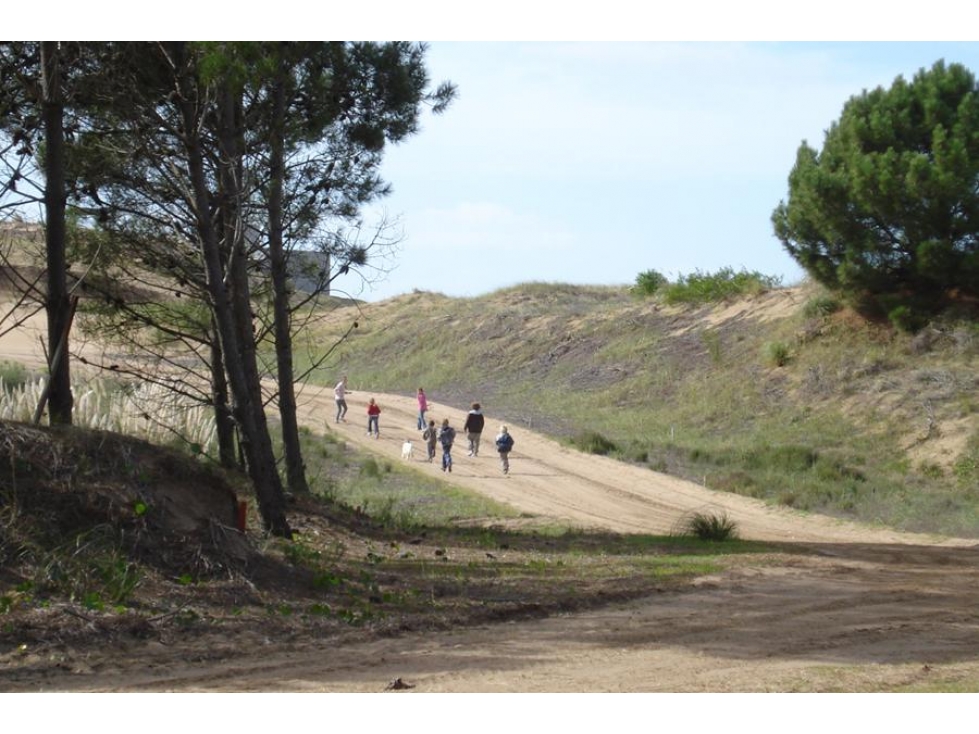 LOTE EN VENTA COSTA DUNAS - 3