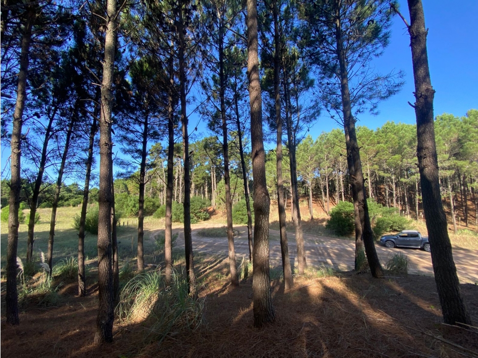 Lote en Venta en Pinamar - Barrio Cerrado Pioneros Lote 5 — foto 6