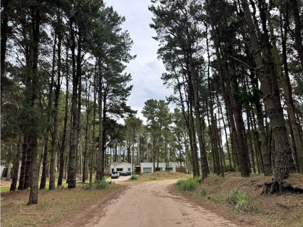 Lote 35 Venta Costa Esmeralda Sector Bosque 1300 m2 Barrio Cerrado - 6