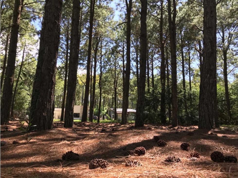 LOTE EN VENTA PINAMAR FRONTERA - 5