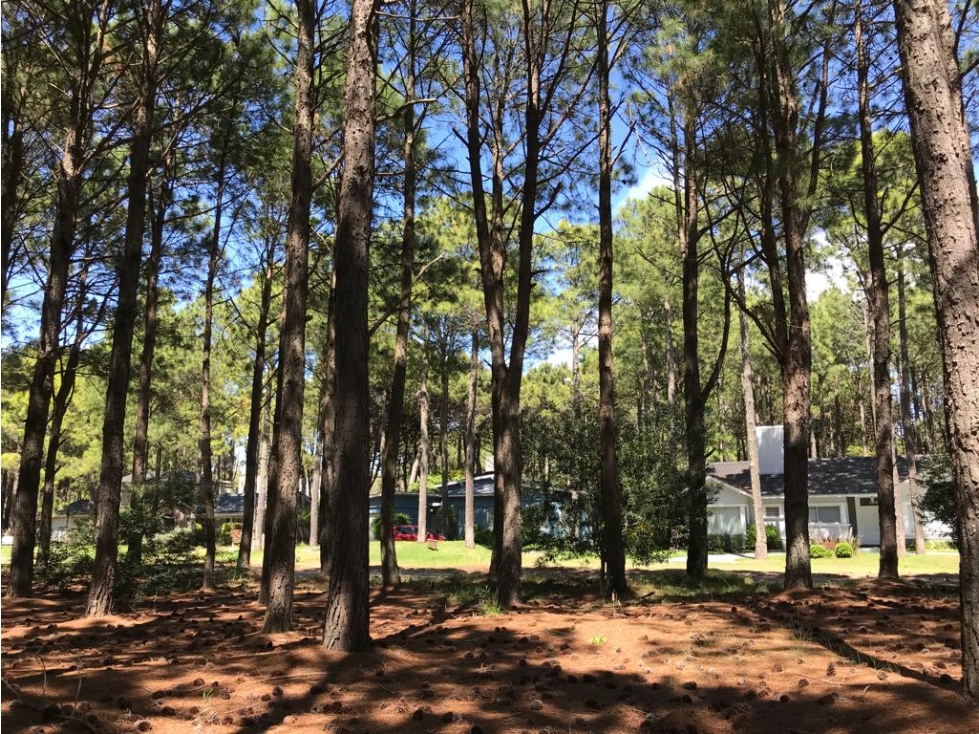 LOTE EN VENTA PINAMAR FRONTERA - 6