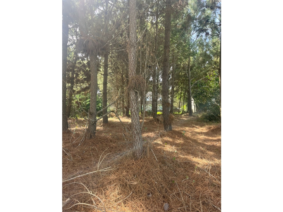 LOTE EN VENTA - RESIDENCIAL I 369 - COSTA ESMERALDA - 4