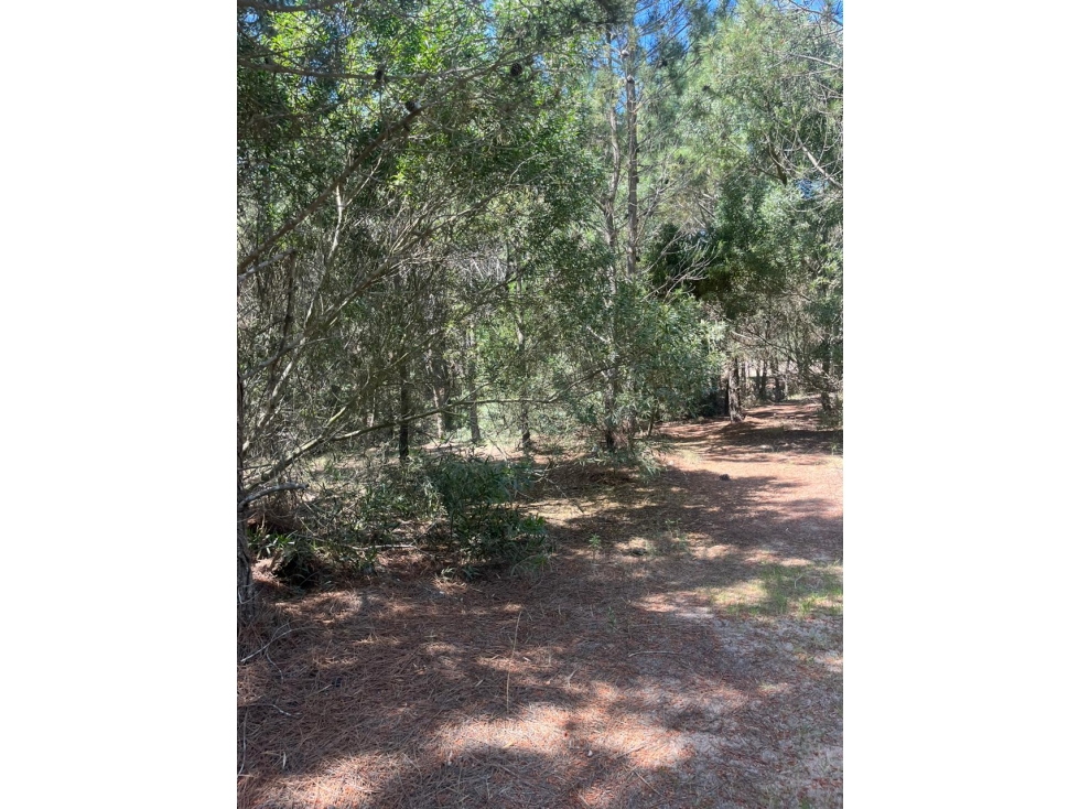LOTE EN VENTA - GOLF II 544 - COSTA ESMERALDA - 2