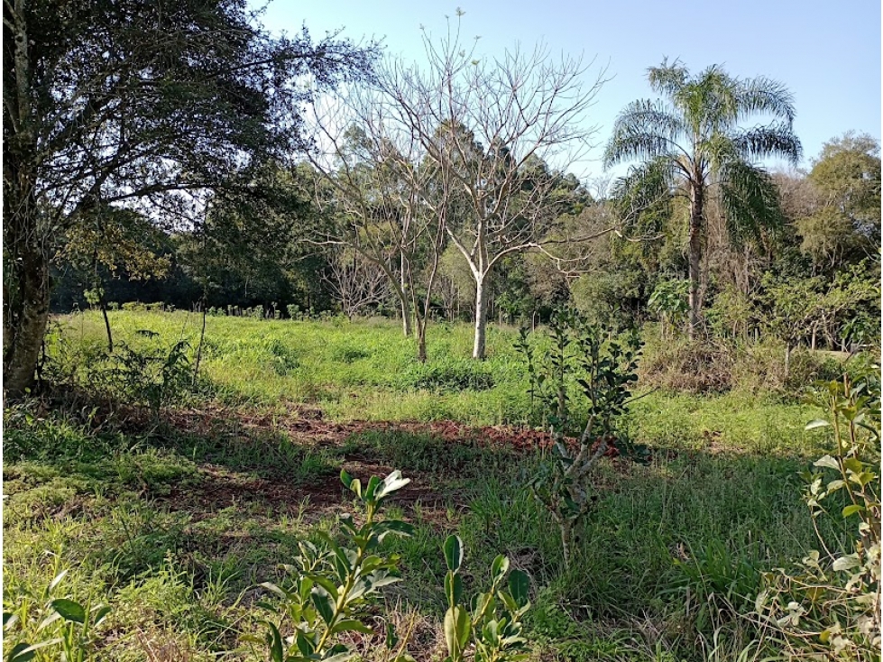 Gran Terreno-Wanda -Mnes - 5