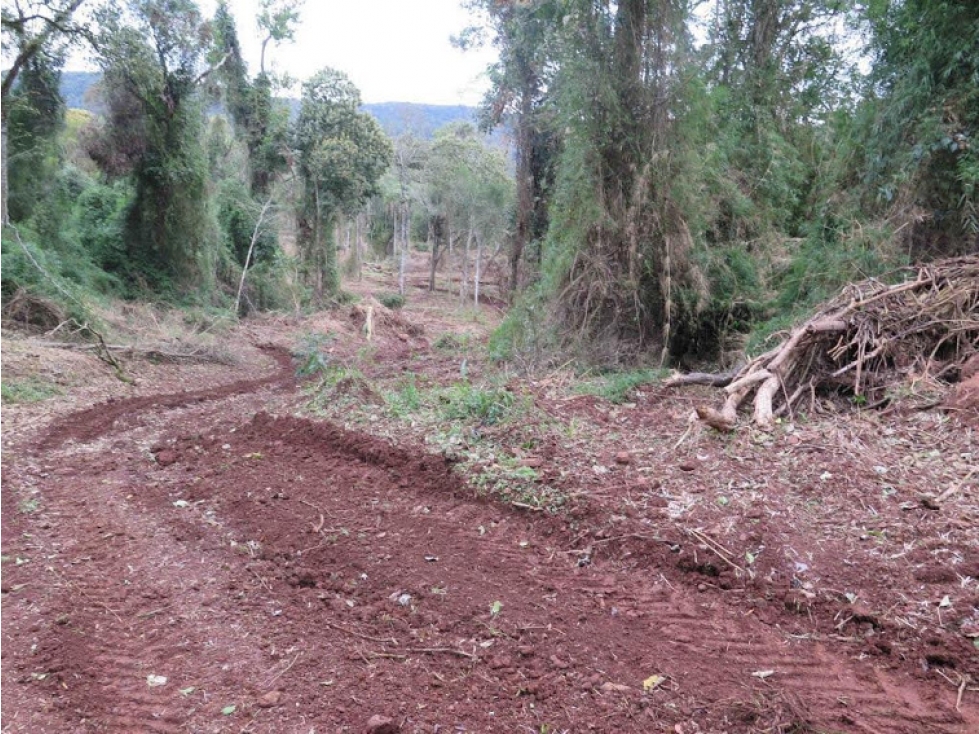 Ruta 18- B. de Irigoyen-Mnes - 6