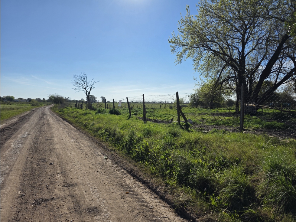 Vendo 5 Lotes en Herrera, Entre Ríos. - 6