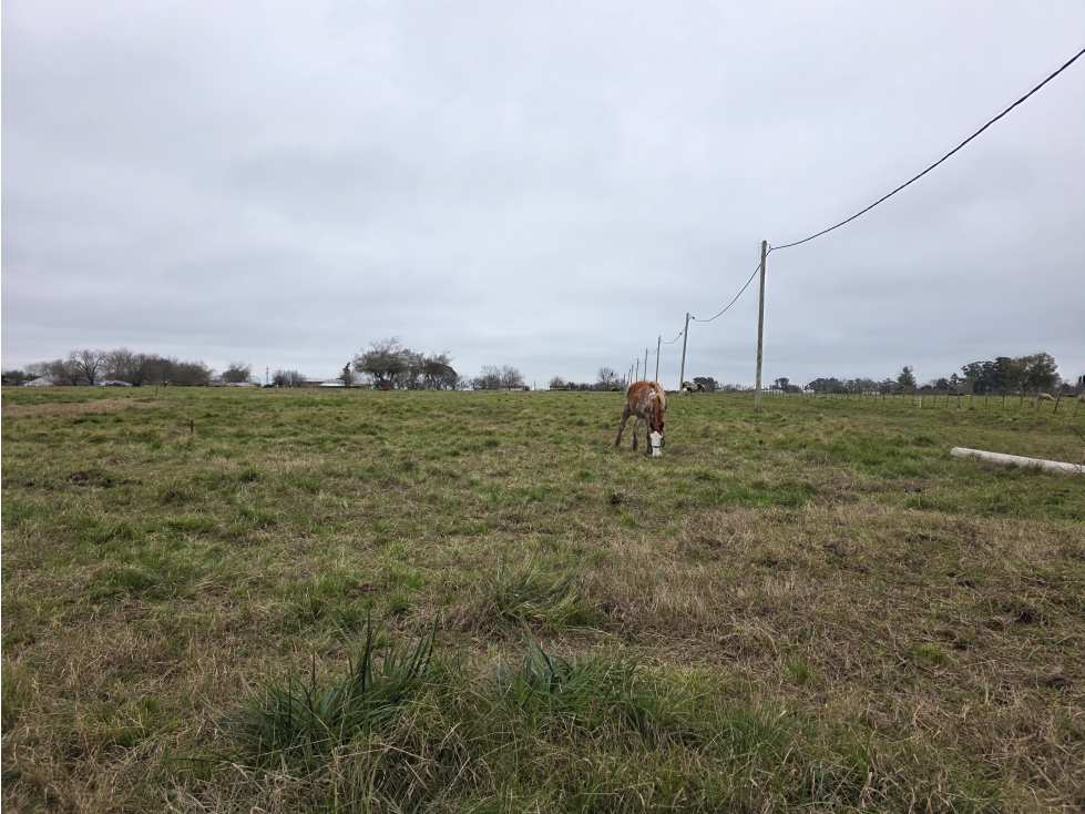 Vendo Terreno de 675 en Herrera, Entre Ríos. - 3