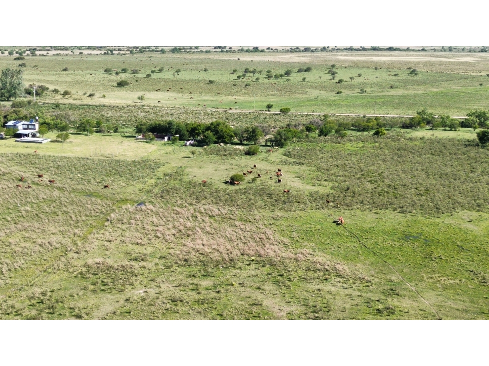Vendo Campo 20 Has en Ruta 39 Concepción del Uruguay Entre Ríos - 1