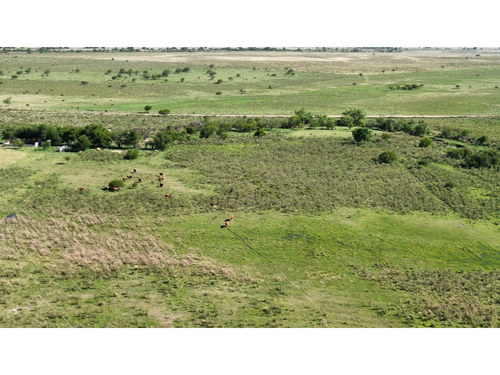 Vendo Campo 20 Has en Ruta 39 Concepción del Uruguay Entre Ríos - 2