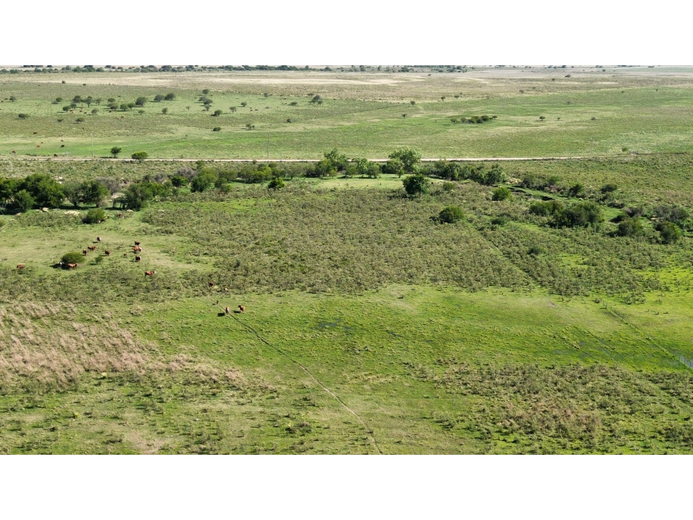 Vendo Campo 20 Has en Ruta 39 Concepción del Uruguay Entre Ríos - 3