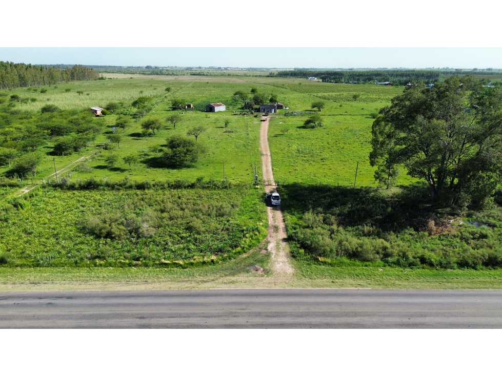 Vendo Campo 20 Has en Ruta 39 Concepción del Uruguay Entre Ríos - 4