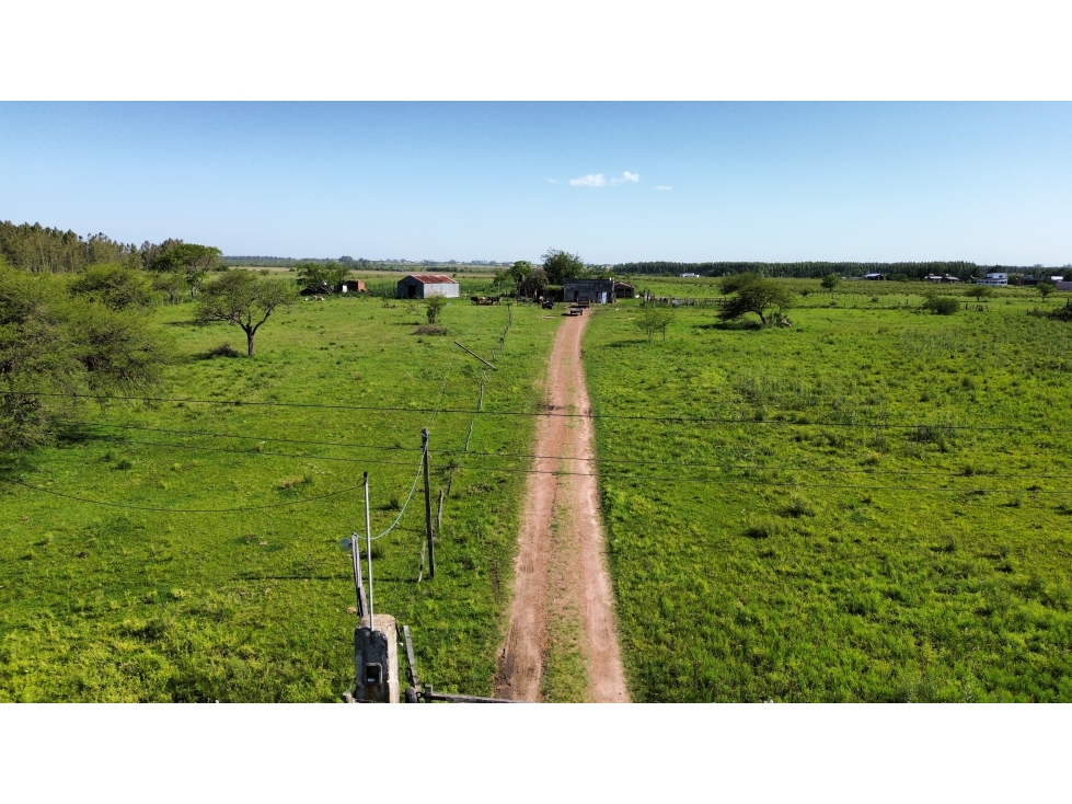 Vendo Campo 20 Has en Ruta 39 Concepción del Uruguay Entre Ríos - 5