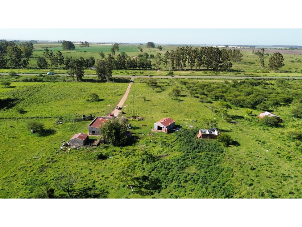 Vendo Campo 20 Has en Ruta 39 Concepción del Uruguay Entre Ríos - 6