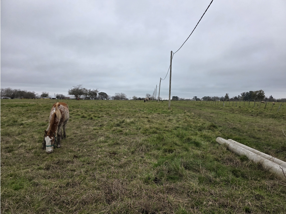Vendo Terreno de 675 en Herrera, Entre Ríos. - 4