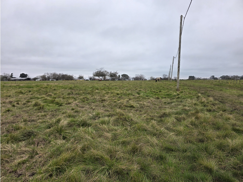 Vendo Terreno de 675 en Herrera, Entre Ríos. - 5