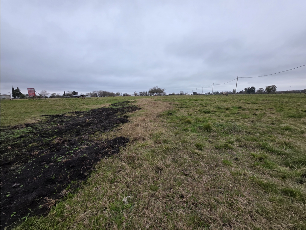 Vendo Terreno de 350 en Herrera, Entre Ríos. - 5