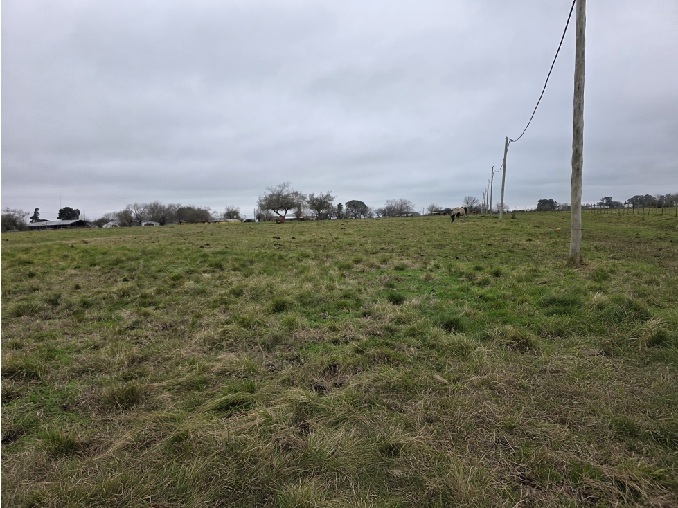 Vendo Terreno de 675 en Herrera, Entre Ríos. - 6