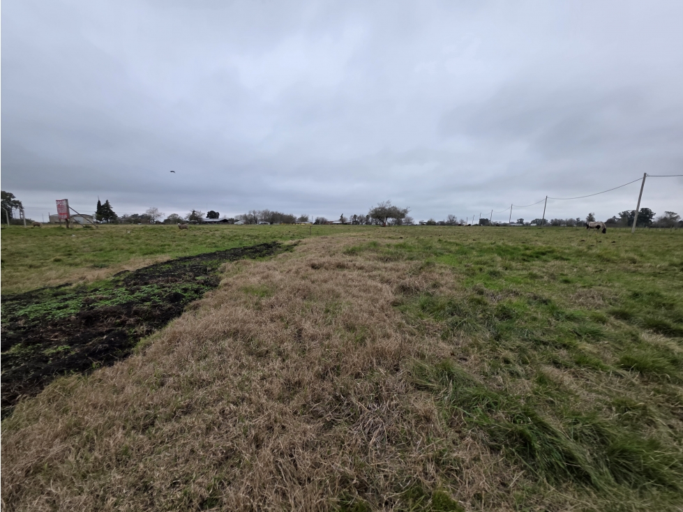 Vendo Terreno de 350 en Herrera, Entre Ríos. - 6