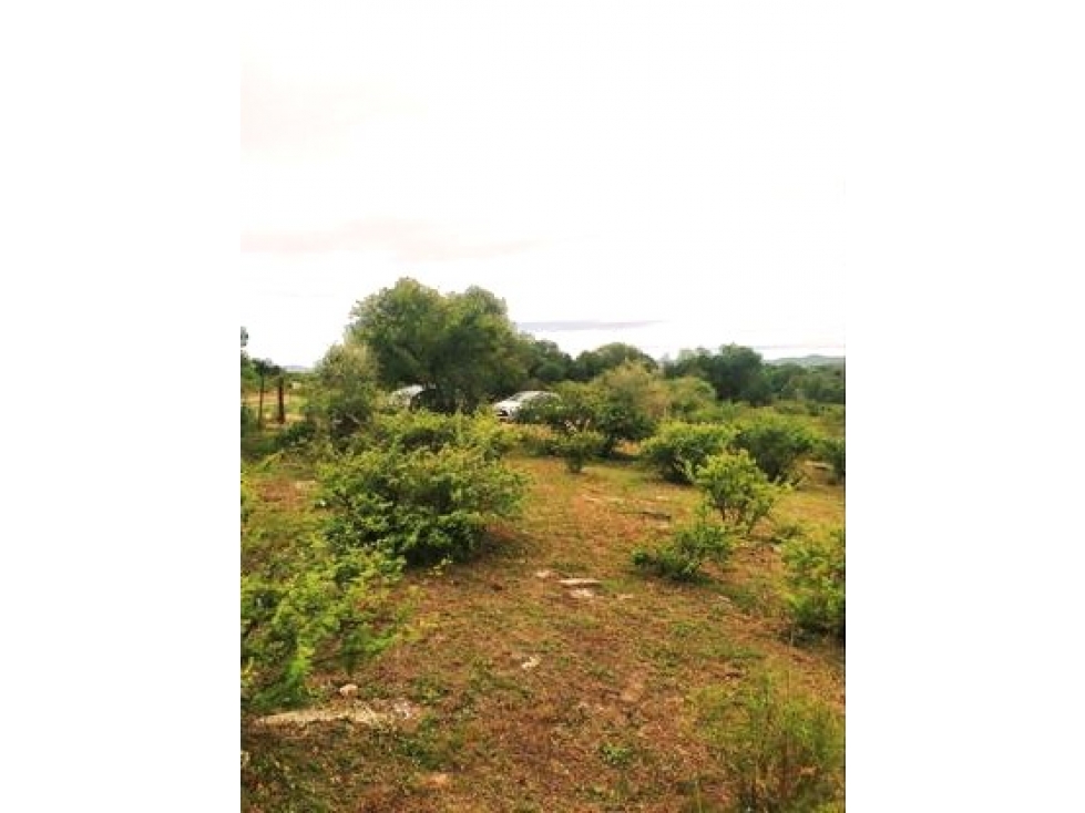 Oportunidad en venta en Va. Flor Serrana, lote plano con vista - 4