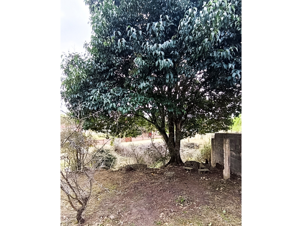 Dos terrenos frente al río. Villa Flor Serrana, Tanti. Más platea. - 5