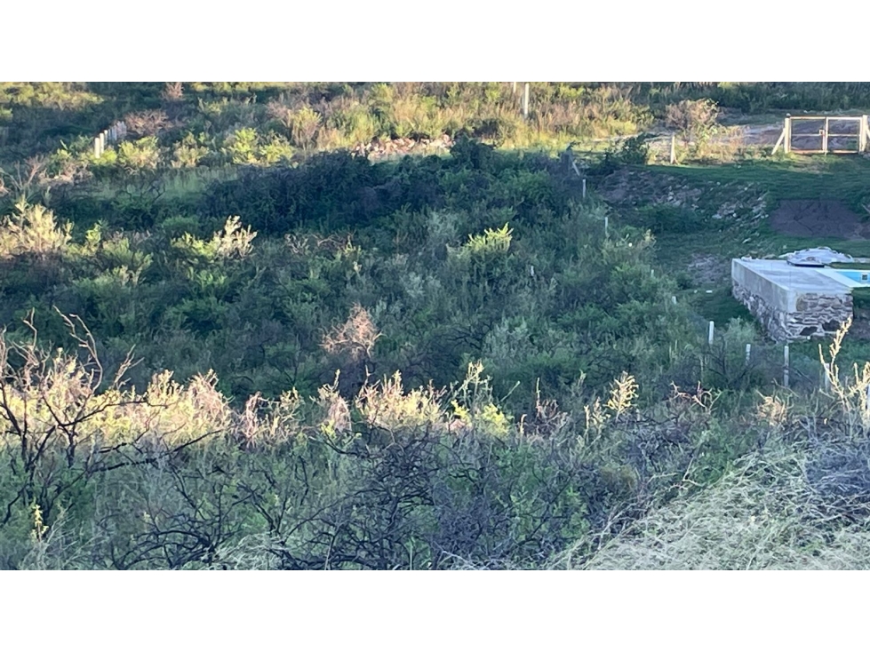 TERRENO CON VISTA AL LAGO Y LA CIUDAD TERRAZAS DE PLAYAS DE ORO - 5