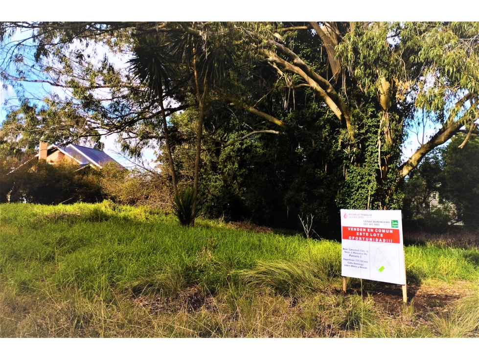 LOTE en SIERRA DE LOS PADRES!!! - 4