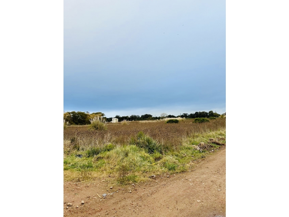 VENTA LOTE DE TERRENO DE 11.576 M2.MONTE TERRABUSI. OPORTUNIDAD — foto 3