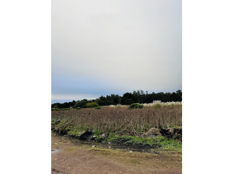 VENTA LOTE DE TERRENO DE 11.576 M2.MONTE TERRABUSI. OPORTUNIDAD — foto 4